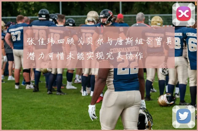 张佳玮回顾戈贝尔与唐斯组合曾具潜力可惜未能实现完美协作